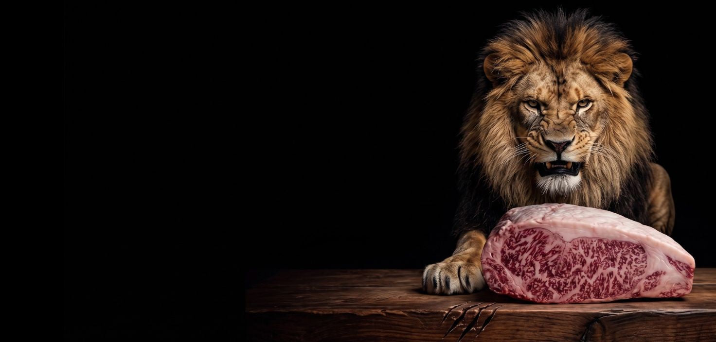 Bollensteak